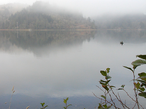 P1010556.jpg