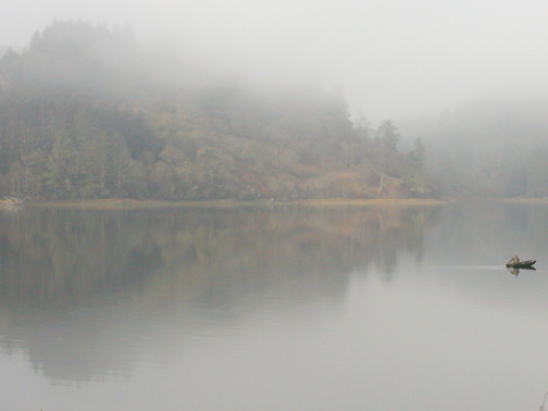 P1010559.jpg