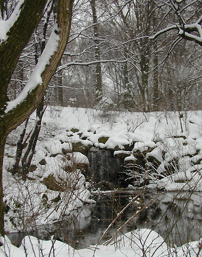 New York snow