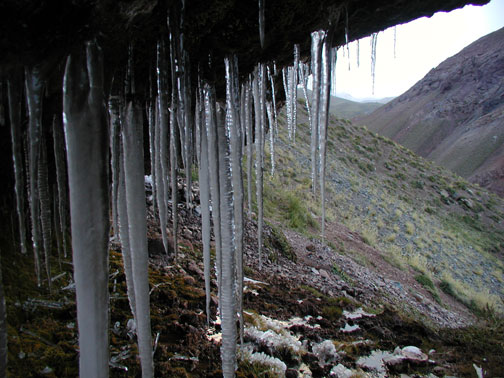 P1010054_icicles.jpg